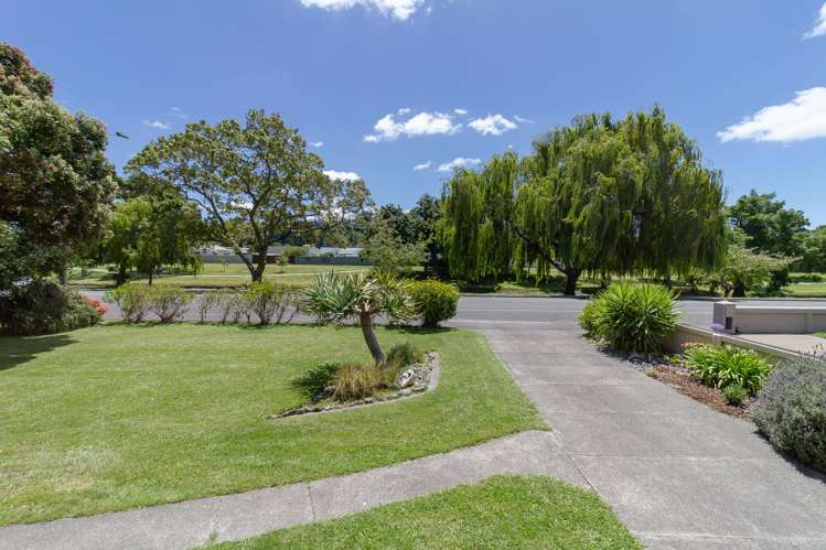 5 Douglas Mclean Avenue Marewa_21