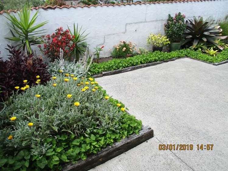 12a Eagle Place Red Beach_10