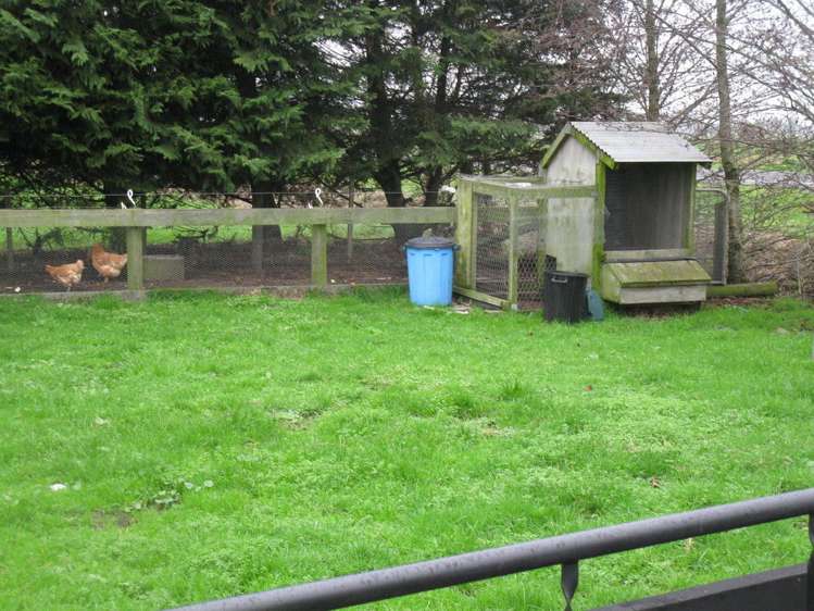 300 Shewan Road Gordonton_9