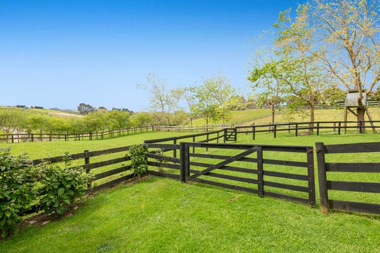 298 Rimmer Road Helensville_42