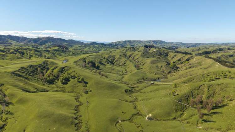 329 North Road Masterton_10