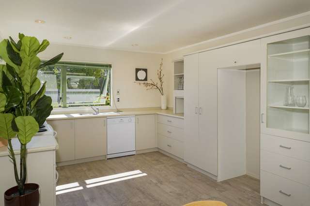 12a Meadow Drive Whitianga_2