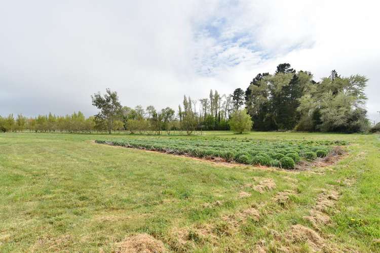 407 Pesters Road West Eyreton_13