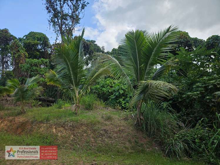 Address withheld Savusavu_7