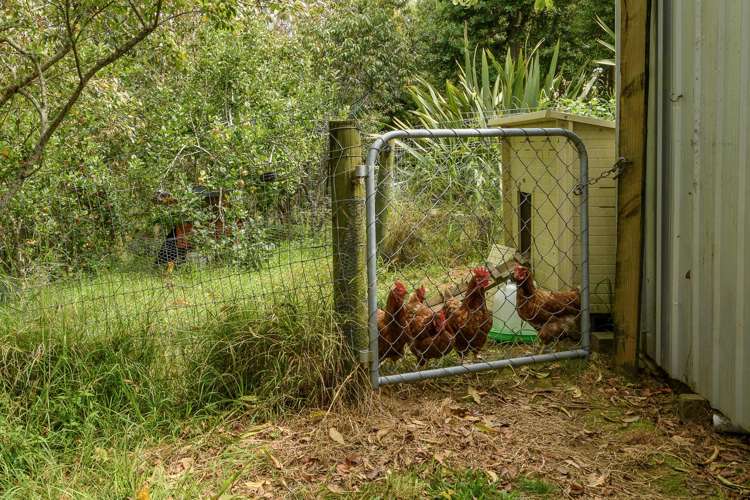 101 Turntable Hill Road Whakamarama_28