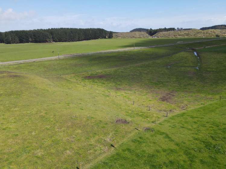 78 Brandon Hall Road Bulls_16