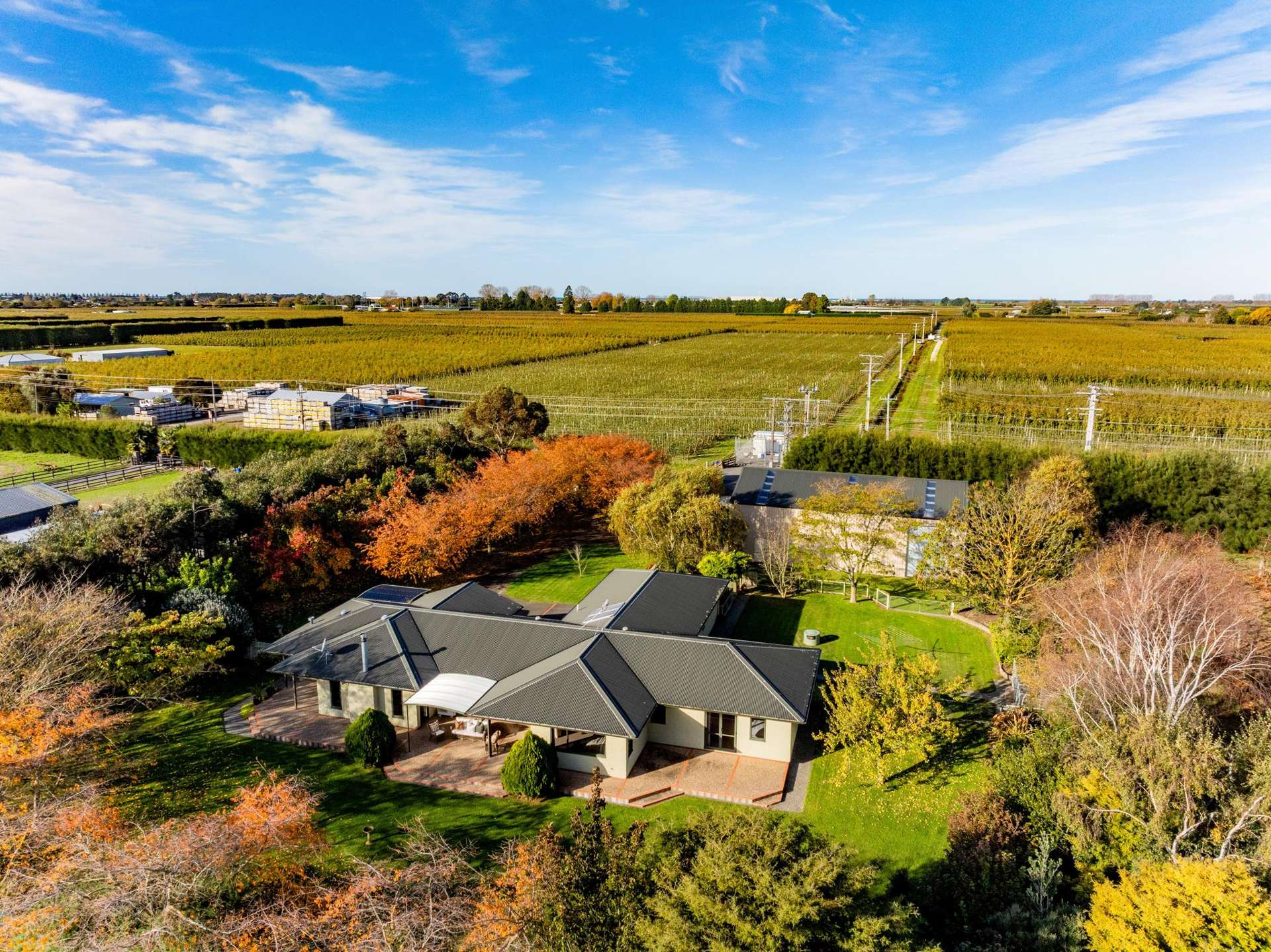 145 Powdrell Road Meeanee_0