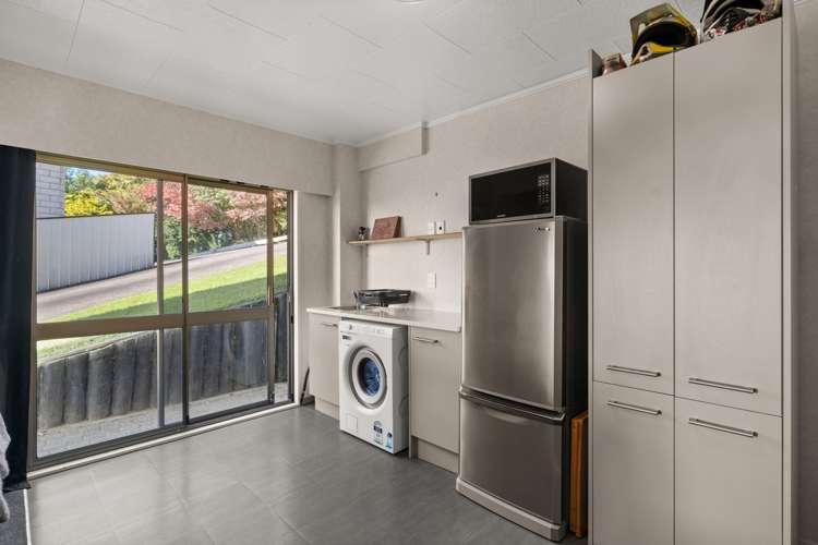 249 Bellevue Road Bellevue_17