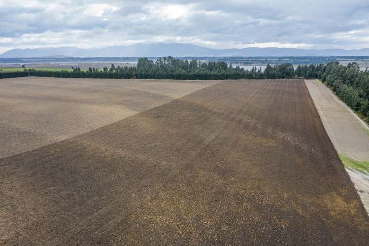 3716 Old West Coast Road Sheffield_18