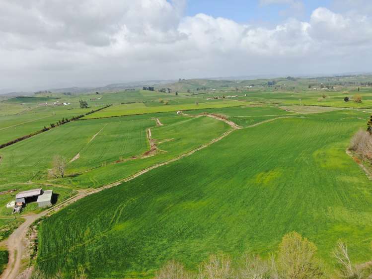 1375 State Highway 3 Otorohanga_15