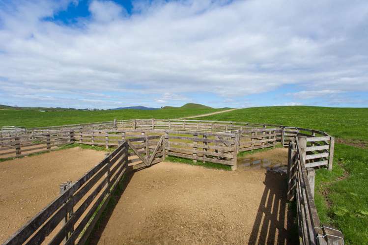 2175 Morrinsville-Walton Road Richmond Downs_14