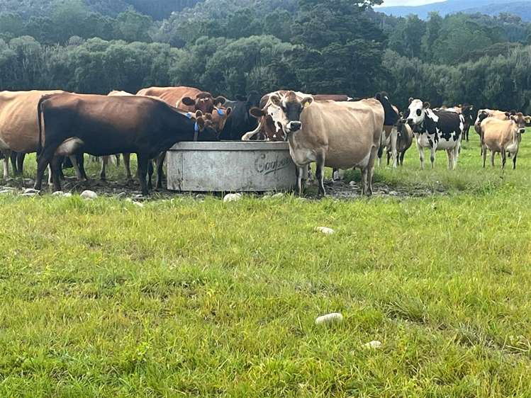 989 State Highway 69 Reefton_22