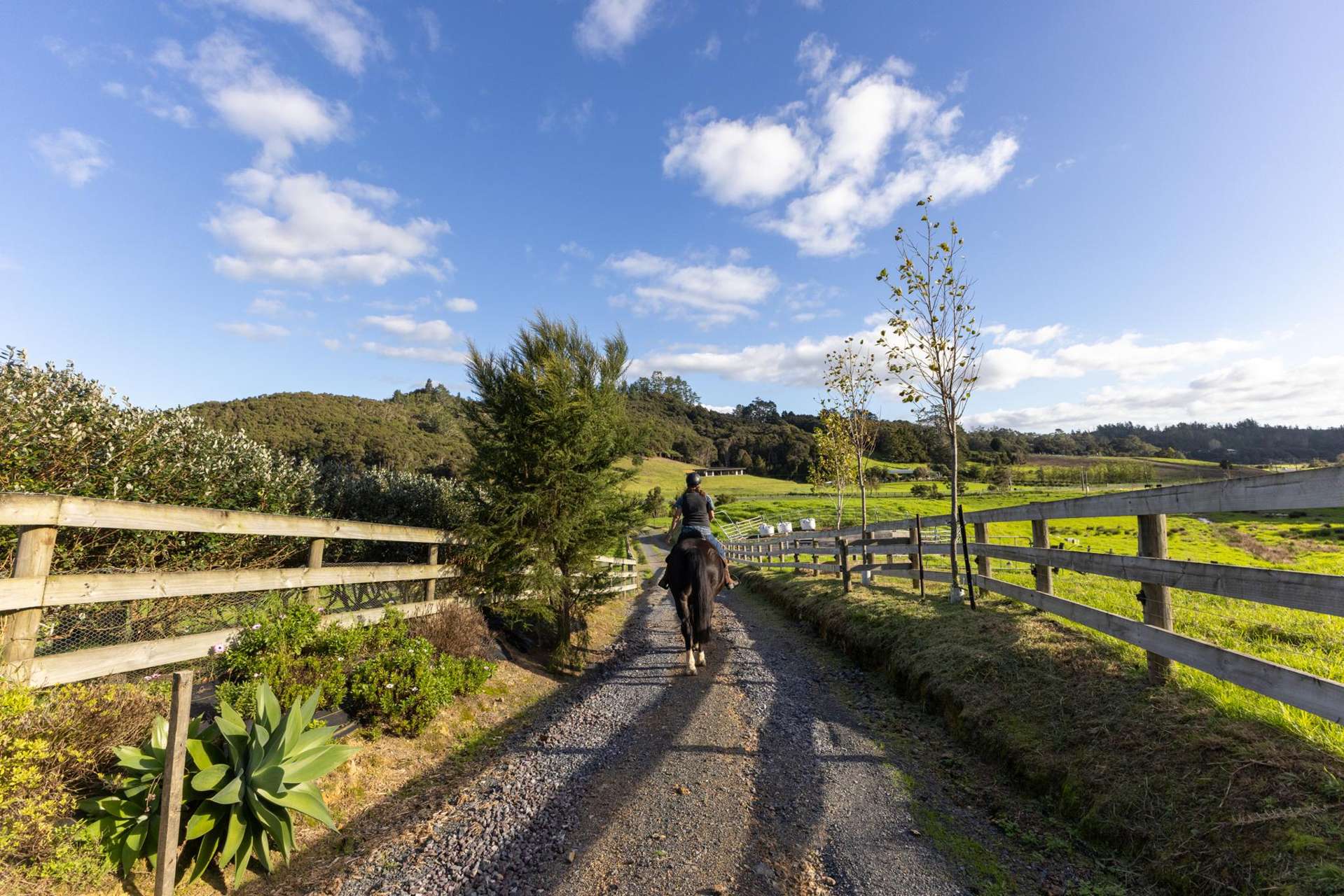 719 Waikare Road Kawakawa_0