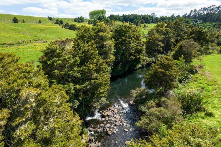 4 Field View Kerikeri_20