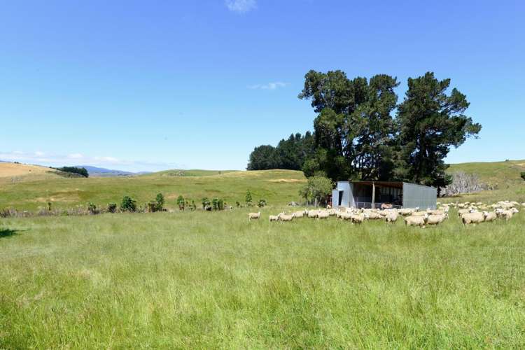 617 Waihaorunga Back Road Waimate_11