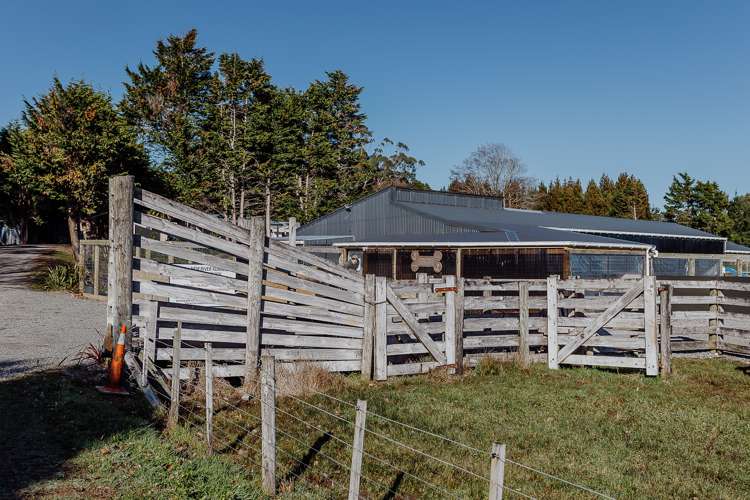 987 State Highway 6 Camerons_31