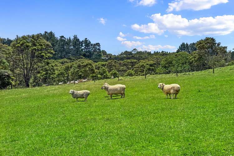 153 Mahoenui Valley Road Coatesville_14