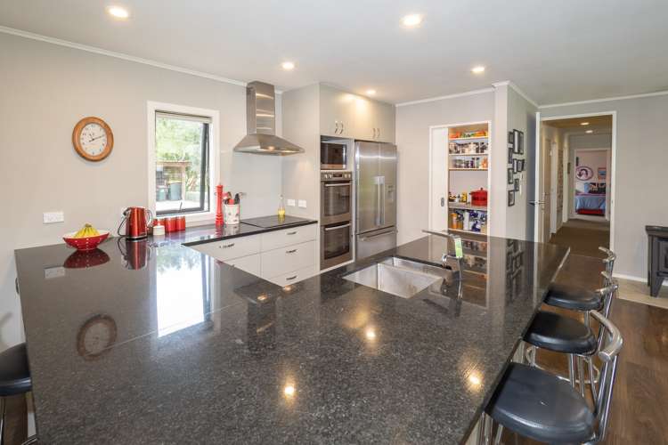 181 Mitcham Road Allenton_6