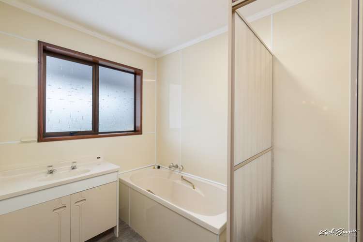 115 Gemstone Drive Birchville_17