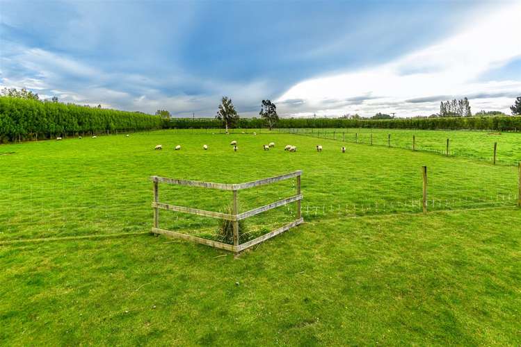 307 Tancreds Road Lincoln_31