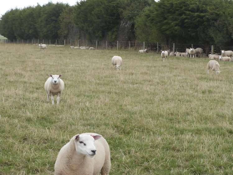 219 Robertson Road Winton Surrounds_30