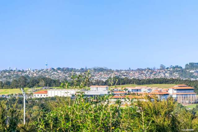 80 Point Ridge Avenue Albany_2