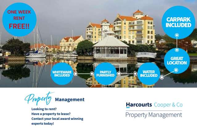 Modern Studio Apartment for Rent in Gulf Harbour