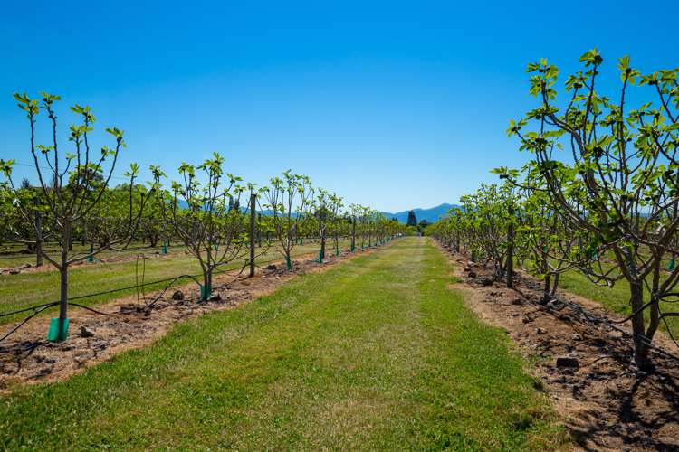 571 Brookby Road Hawkesbury_16