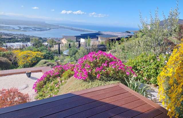 2 Clearview Lane Mount Pleasant_1