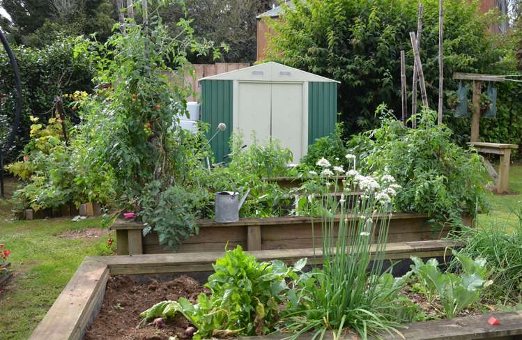 39 Poland Street Waikino_9