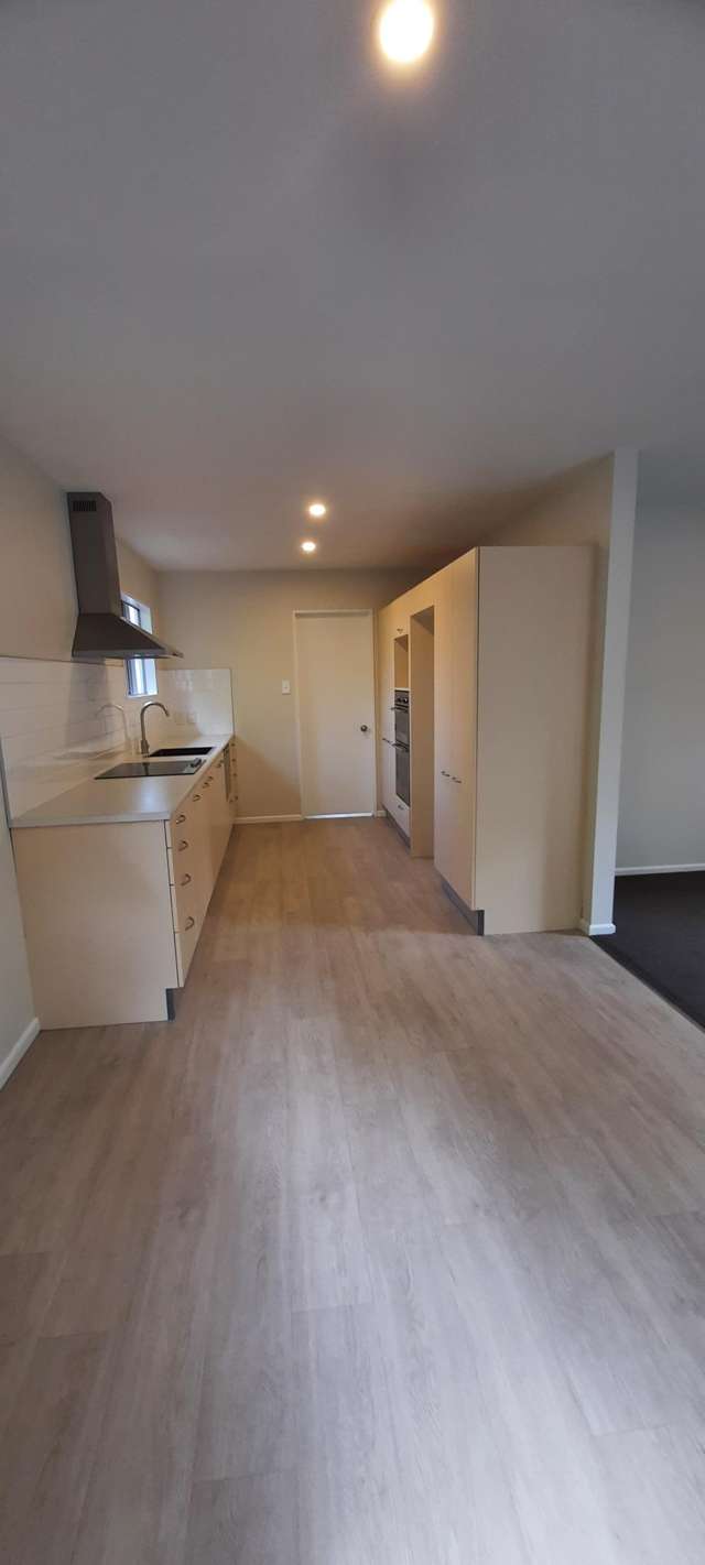 11 Hutcheson Street Sydenham_2
