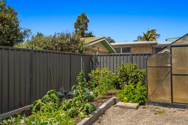 32b Bridge Street Whakatane_23