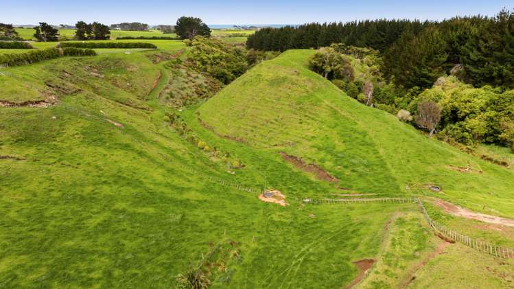 53 Muggeridge Road Manutahi_43