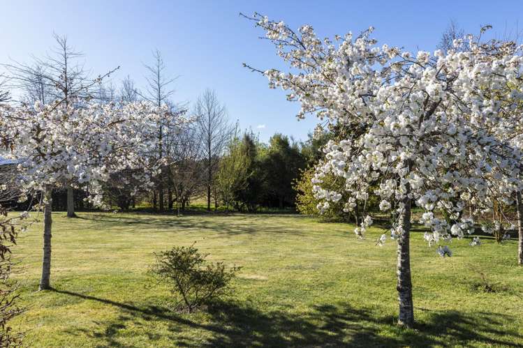 52 Bayley Road Fernside_26