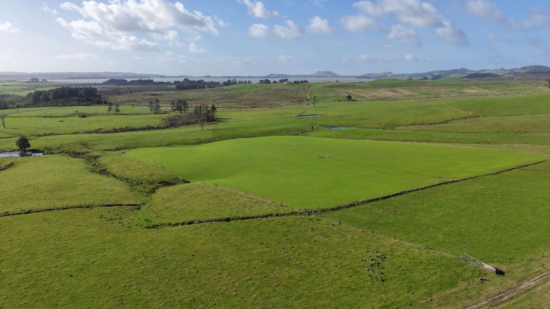 194 Toia Road Okaihau_0