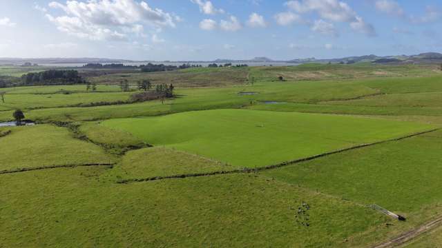 111ha Okaihau Dairy Support/Finishing Block