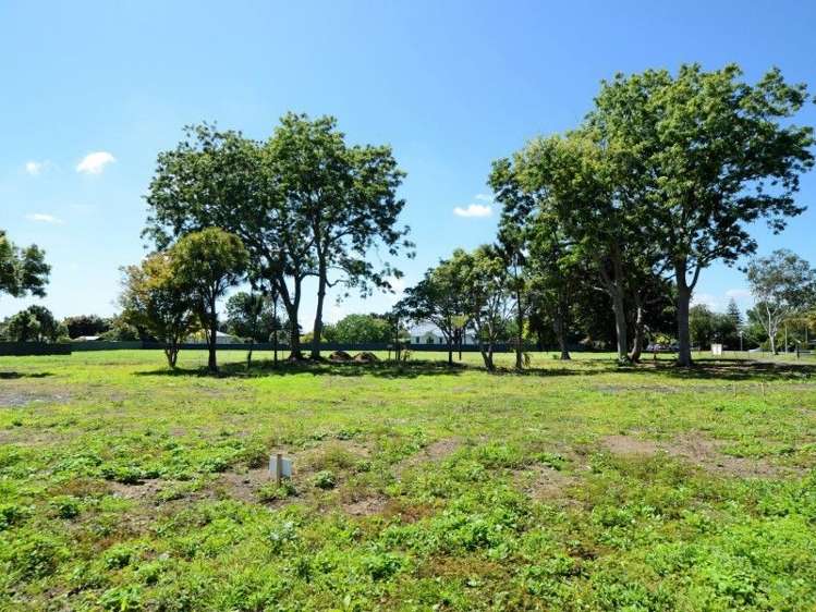 121 Avondale Road Avondale_7