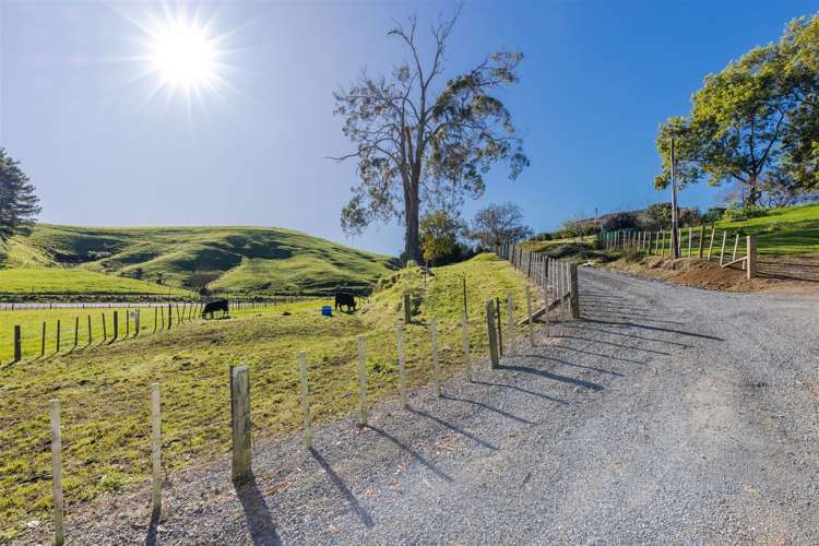 1439 Te Kawa Road Otorohanga_34