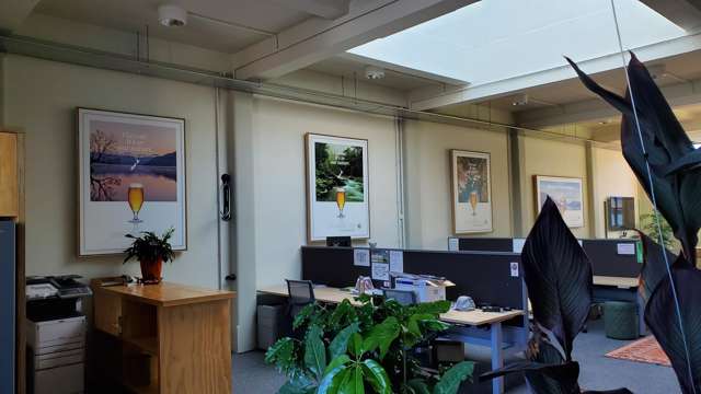 240 Trafalgar Street Nelson_2