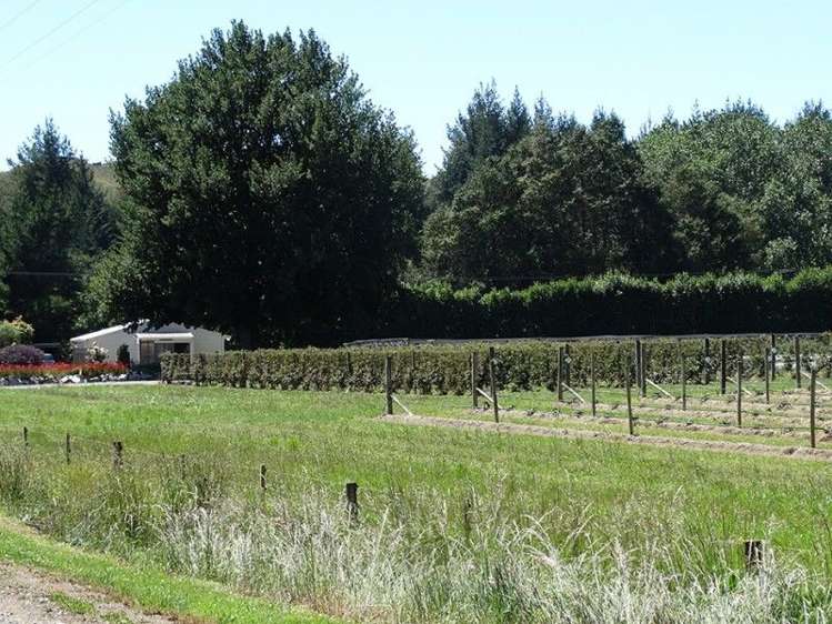 21 Drummond Road Lower Moutere_7