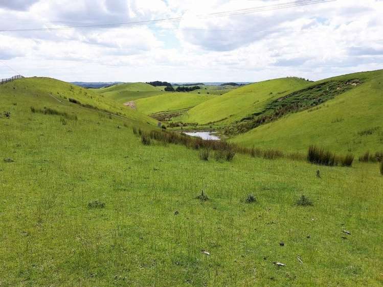 139 Zigzag Road Pohangina_6