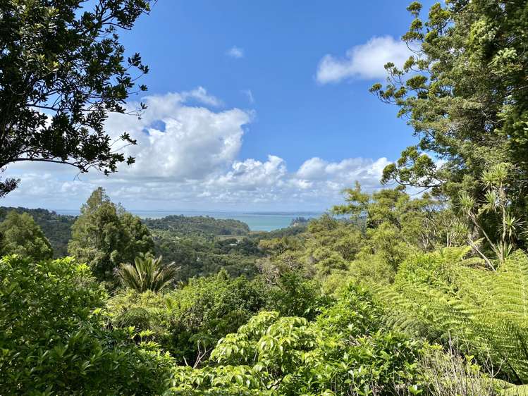 20 Manuka Road Titirangi_13