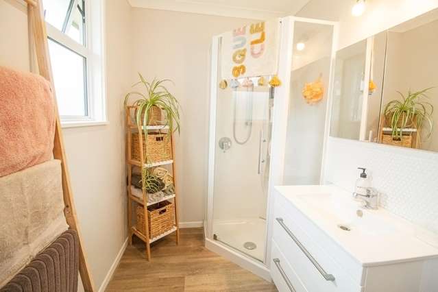 101 Mulgrave Street Ashhurst_3