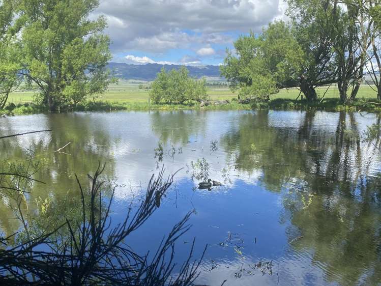 224 Auripo Road Poolburn_19