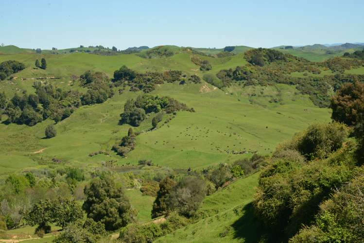 877 Puketawai Road Otorohanga_17