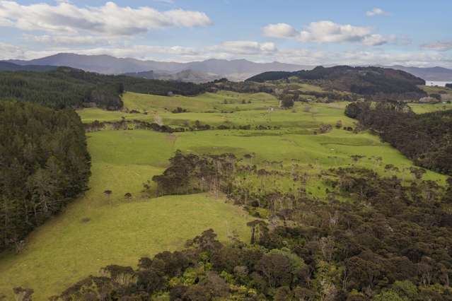 Grab this Graze & Grow Coromandel Opportunity