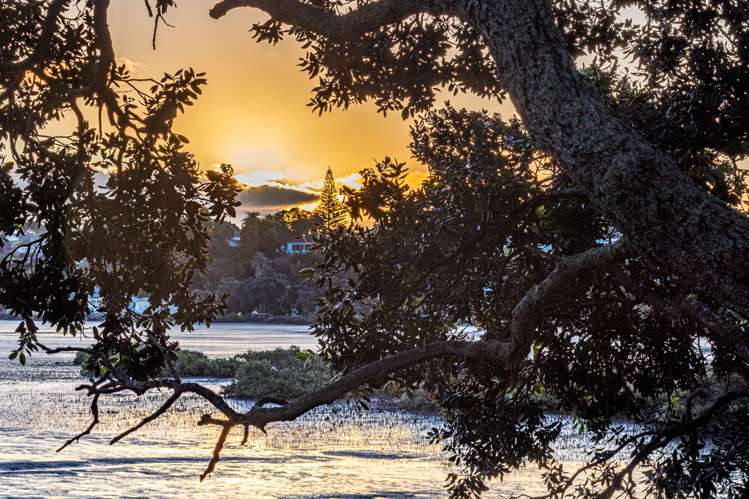 86a Ngataringa Road Devonport_32