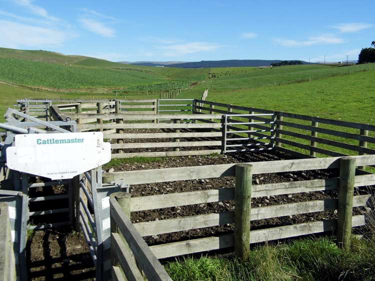 301 Whartons Road Five Forks and Surrounds_11