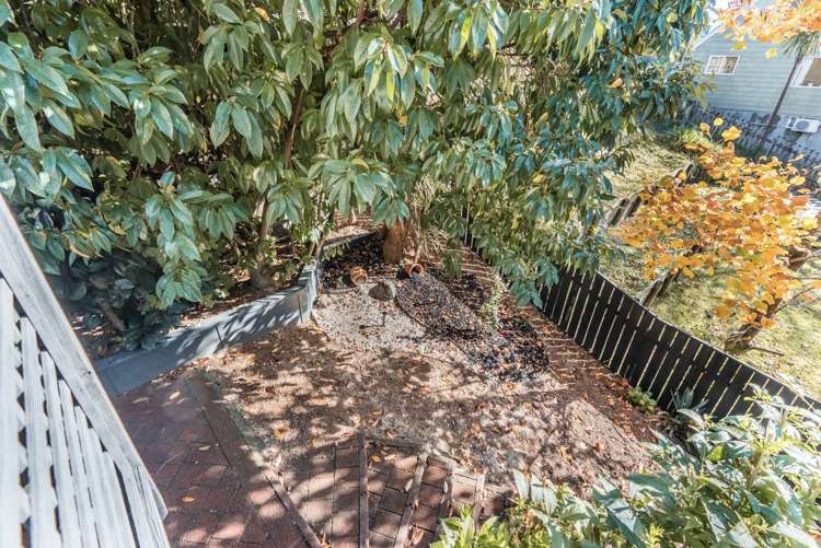 2b Cradock Street Avondale_22