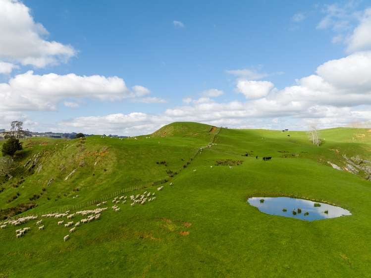 420 Ponganui Road Onewhero_16